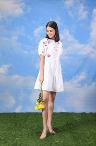 The Daisy Dress